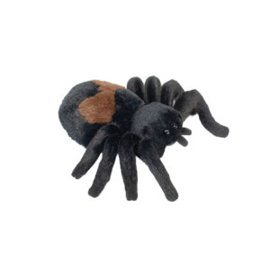 Douglas Spinne Sneaky